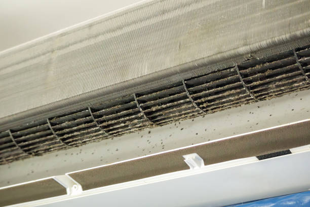 Best Dryer Vent Cleaning Services  in Jasper, TN